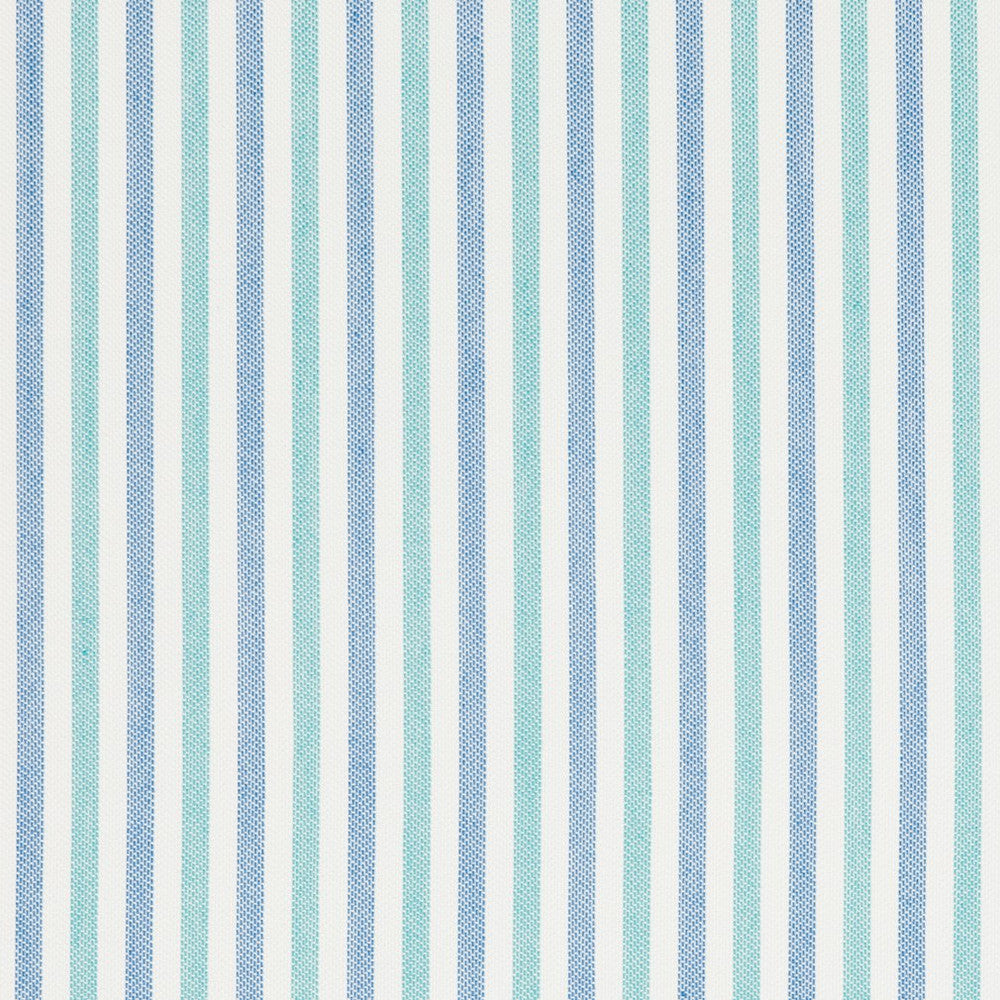 30070-02 by Charlotte Designer Fabric Woven Acrylics 100% Solution Dyed Acrylic Spain Exceeds 60,000 Wyzenbeek Rubs (Heavy Duty) </p><p>Repeat: Horizontal: 1" 54 Inches - Swanky Fabrics -