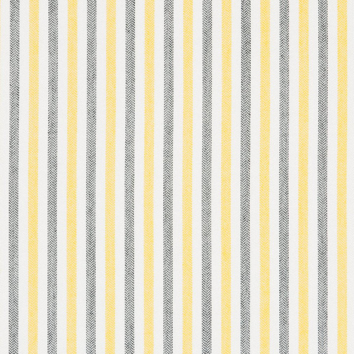 30070-03 by Charlotte Designer Fabric Woven Acrylics 100% Solution Dyed Acrylic Spain Exceeds 60,000 Wyzenbeek Rubs (Heavy Duty) Horizontal: 1" 54 Inches - Swanky Fabrics -