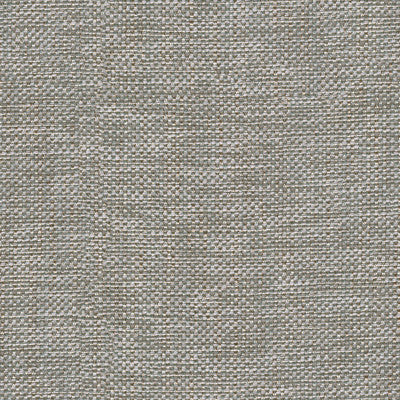 30299.11 by Kravet Basics Designer Fabric Perfect Plains Polyester 63%, Viscose 35%, Polyamide 2% China Heavy Horizontal: see sample and Vertical: see sample 55 inches - Swanky Fabrics -