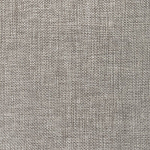 Kravet Fabric Basics 30299-1101