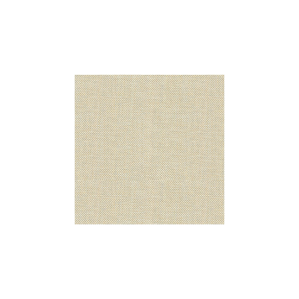 30299-1116 by Kravet Basics Designer Fabric PERFECT PLAINS POLYESTER - 63%;VISCOSE - 35%;POLYAMIDE - 2% China HEAVY Horizontal: 0 and Vertical: 0 55 - Swanky Fabrics -