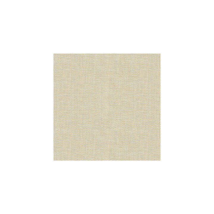 30299-1116 by Kravet Basics Designer Fabric PERFECT PLAINS POLYESTER - 63%;VISCOSE - 35%;POLYAMIDE - 2% China HEAVY Horizontal: 0 and Vertical: 0 55 - Swanky Fabrics -