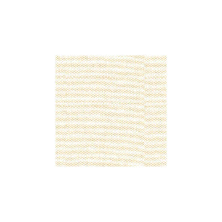 30299-1 by Kravet Basics Designer Fabric PERFECT PLAINS POLYESTER - 63%;VISCOSE - 35%;POLYAMIDE - 2% China HEAVY Horizontal: 0 and Vertical: 0 55 - Swanky Fabrics -