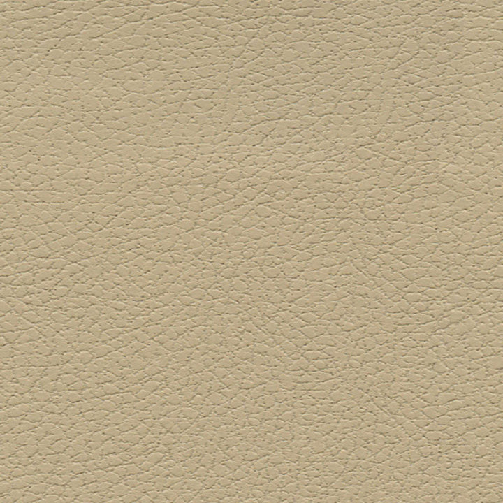 Brisa Desert Clay 303-3864 by Schumacher Designer Fabric ULTRALEATHER POLYURETHANE 100% JAPAN WYZENBEEK 200,000 </p><p>Repeat: Horizontal: and Vertical: 54 - Swanky Fabrics -