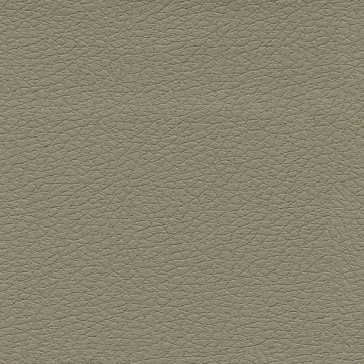 Brisa Fedora 303-3915 by Schumacher Designer Fabric ULTRALEATHER See Sample JAPAN HEAVY DUTY </p><p>Repeat: Horizontal: - and Vertical: - 54" WIDE (137CM) - Swanky Fabrics -