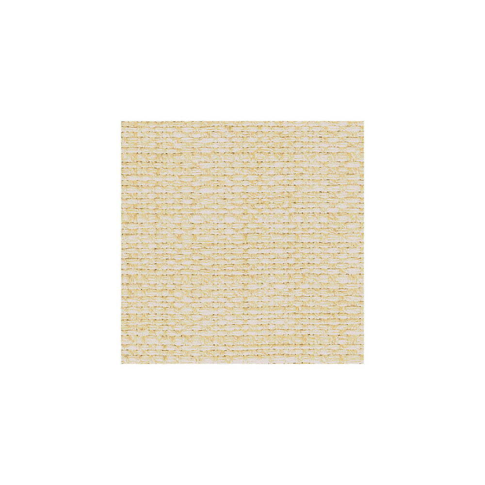 30667-1 by Kravet Smart Designer Fabric POLYESTER - 66%;ACRYLIC - 34% United States HEAVY Horizontal: and Vertical: 54 - Swanky Fabrics -