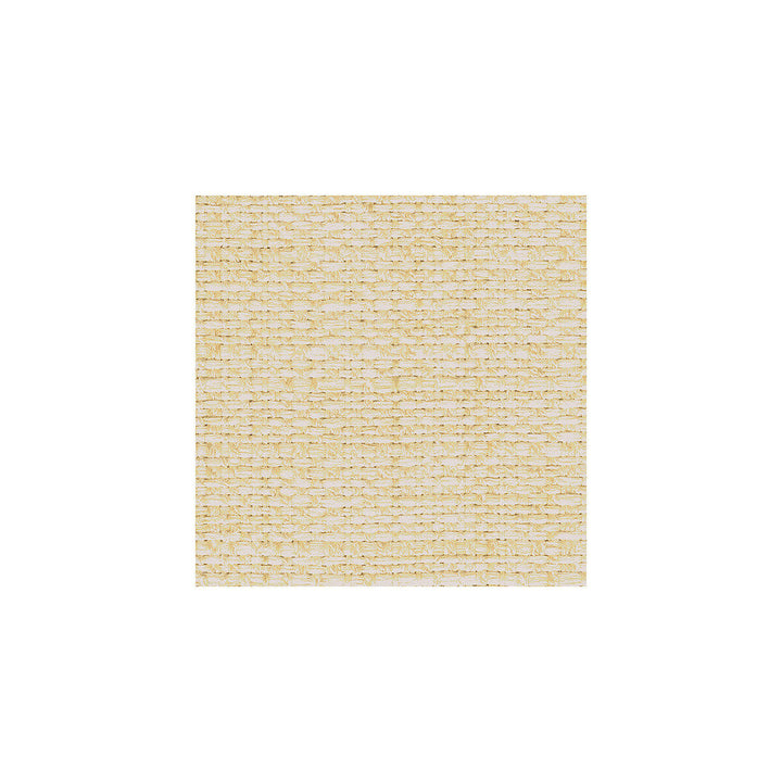 30667-1 by Kravet Smart Designer Fabric POLYESTER - 66%;ACRYLIC - 34% United States HEAVY Horizontal: and Vertical: 54 - Swanky Fabrics -