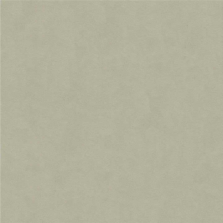 30787.2101 by Kravet Design Designer Fabric Ultrasuede Recycled Polyester 80%, Polyurethane 20% Japan Heavy Horizontal: see sample and Vertical: see sample 55 inches - Swanky Fabrics -