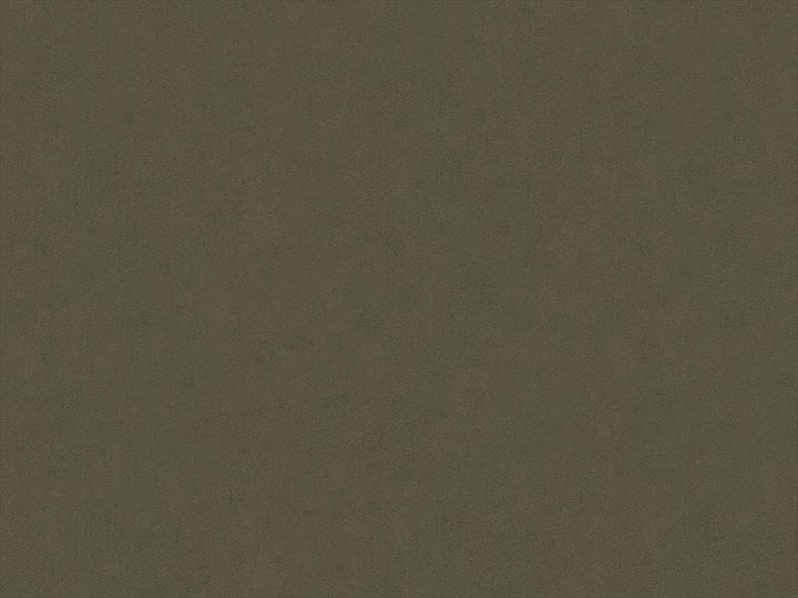 30787.6606 by Kravet Design Designer Fabric Ultrasuede Recycled Polyester 80%, Polyurethane 20% Japan Heavy Horizontal: see sample and Vertical: see sample 55 inches - Swanky Fabrics -