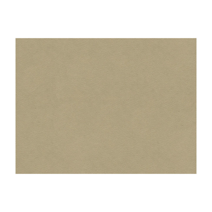Ultrasuede Green Oatmeal by Kravet Design Designer Fabric PERFORMANCE RECYCLED POLYESTER - 80%;POLYURETHANE - 20% Japan HEAVY Horizontal: - and Vertical: - 55 - Swanky Fabrics -