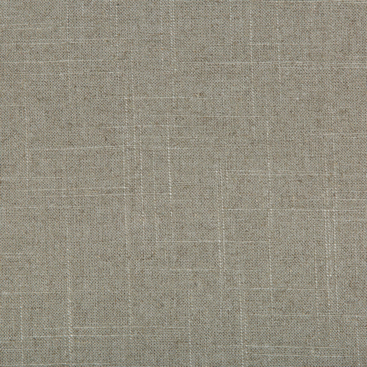 30808-1121 by Kravet Basics Designer Fabric LINEN - 55%;RAYON - 45% Switzerland HEAVY Horizontal: 0 and Vertical: 0 54 - Swanky Fabrics -