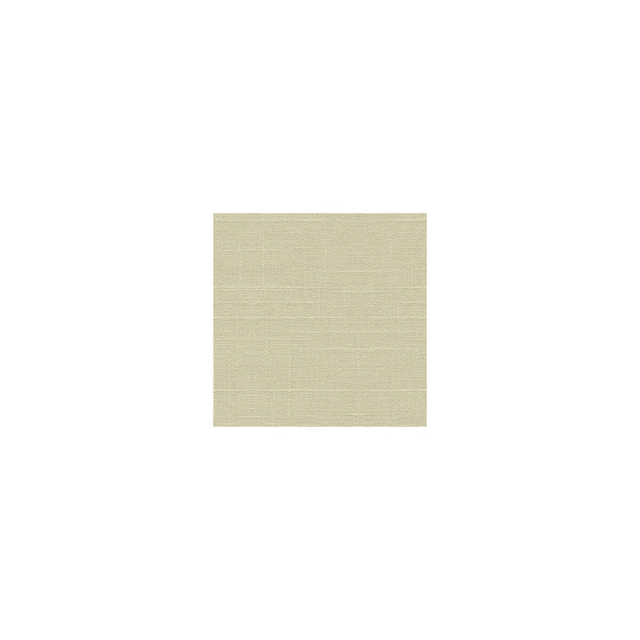 30808-1 by Kravet Basics Designer Fabric LINEN - 55%;RAYON - 45% Switzerland HEAVY Horizontal: 0 and Vertical: 0 54 - Swanky Fabrics -