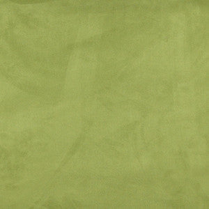 Charlotte Fabric 3085 Spring