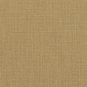 Charlotte Fabric 31000-05