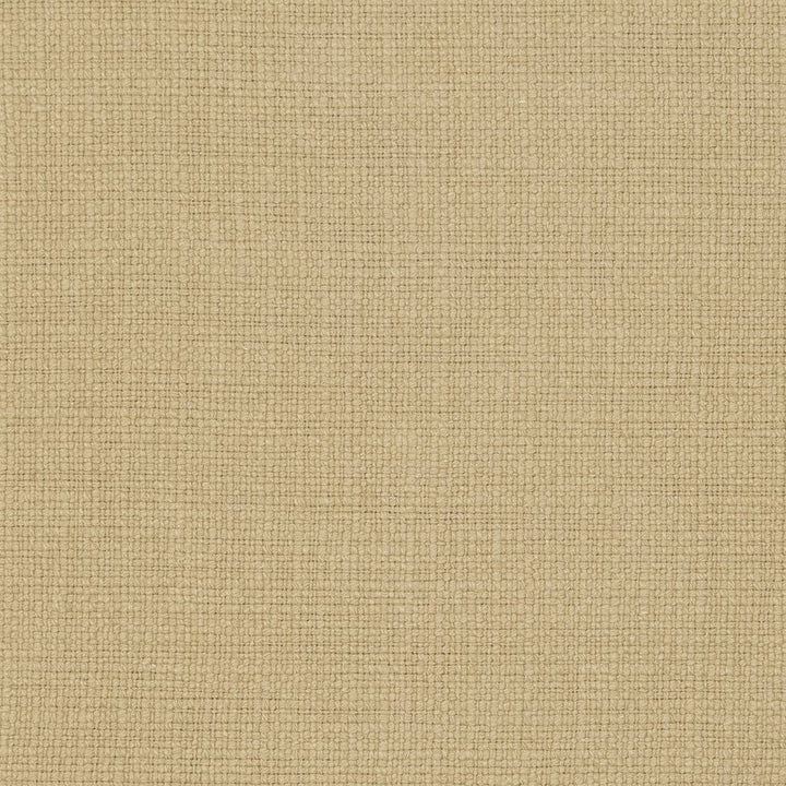 31000-20 by Charlotte Designer Fabric Natural Textures 55% Linen, 45% Cotton Asia Exceeds 60,000 Wyzenbeek Rubs (Heavy Duty) </p><p>Repeat: No Repeat 54 Inches - Swanky Fabrics -