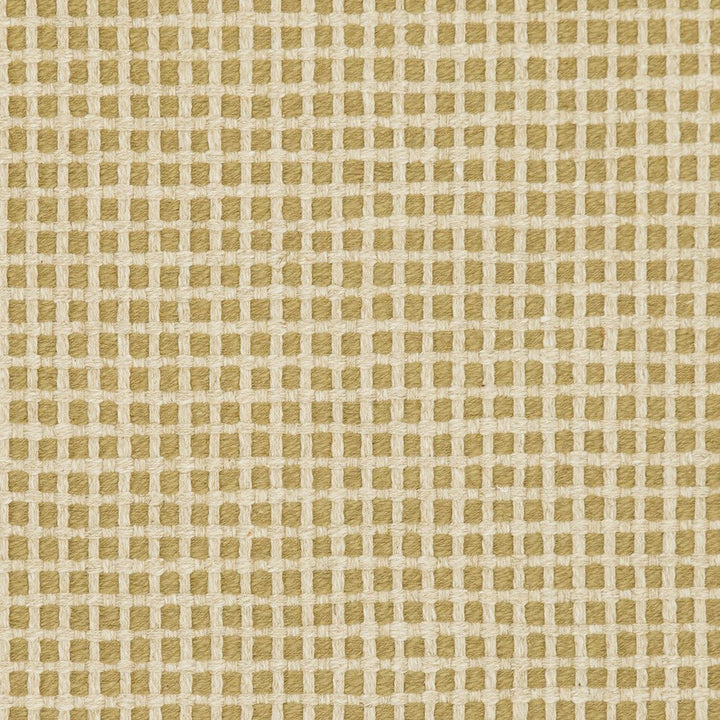 31020-05 by Charlotte Designer Fabric Natural Textures 55% Linen, 45% Cotton Asia Exceeds 60,000 Wyzenbeek Rubs (Heavy Duty) Horizontal: .5" x Vertical: .5" 54 Inches - Swanky Fabrics -