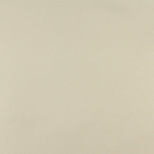 Charlotte Fabric 3108 Celery