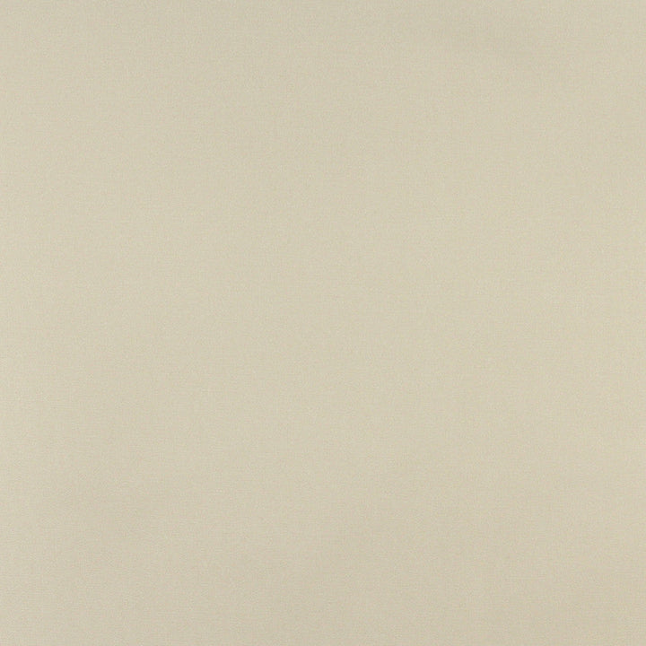 3108 Celery by Charlotte Designer Fabric Decorative Duck 100% Solution Dyed Acrylic Italy Exceeds 140,000 Wyzenbeek Rubs (Heavy Duty) No Repeat 54 Inches - Swanky Fabrics -