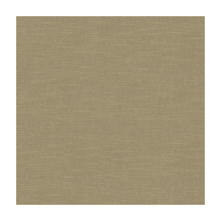 Venetian Birch by Kravet Design Designer Fabric - RAYON - 49%;COTTON - 42%;POLYESTER - 9% United States HEAVY Horizontal: - and Vertical: - 54 - Swanky Fabrics -