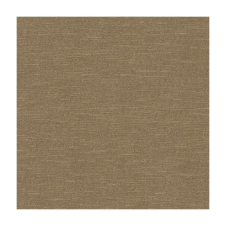 Venetian Fawn by Kravet Design Designer Fabric RAYON - 49%;COTTON - 42%;POLYESTER - 9% United States HEAVY Horizontal: and Vertical: 54 - Swanky Fabrics -
