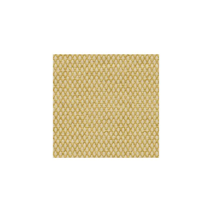 Kravet Design 31373-14 by Kravet Design Fabric Kravet Design Fabric Kravet Design 31373-14Fabric GIS RAYON - 73%;POLYESTER - 27% United States </p><p>Repeat: H: , V: 58 - Fabric Carolina -