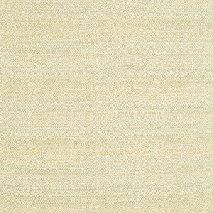 Kravet Fabric Melanger Vapor