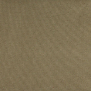 Charlotte Fabric 3180 Sage