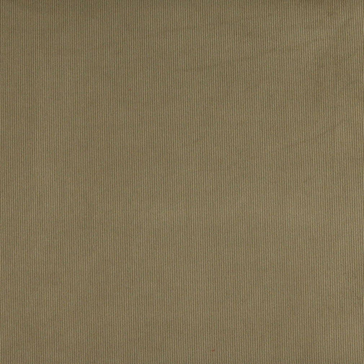 3180 Sage by Charlotte Designer Fabric Ring Book Page #7 90% Polyester, 10% Nylon Asia Exceeds 60,000 Wyzenbeek Rubs (Heavy Duty) No Repeat 54 Inches - Swanky Fabrics -