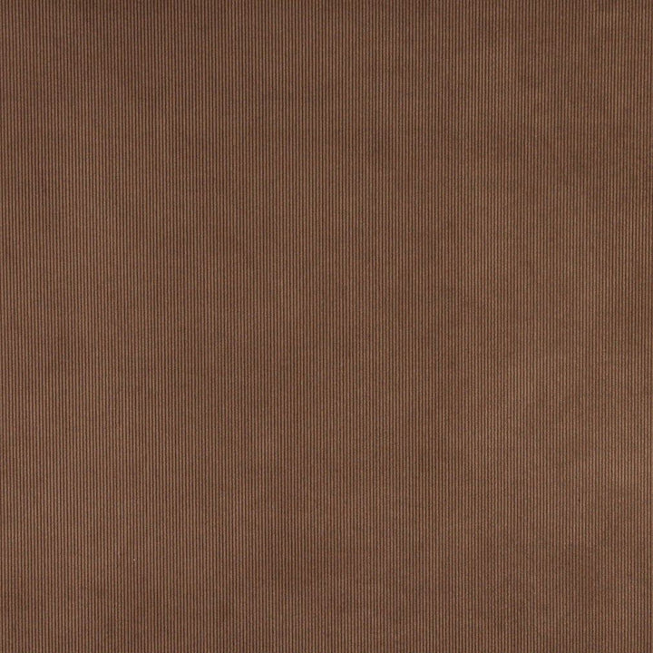 3186 Sable by Charlotte Designer Fabric Ring Book Page #7 90% Polyester, 10% Nylon Asia Exceeds 60,000 Wyzenbeek Rubs (Heavy Duty) No Repeat 54 Inches - Swanky Fabrics -