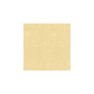 Kravet Fabric Baci Pearl