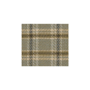 Kravet Fabric Last Hurrah Mineral