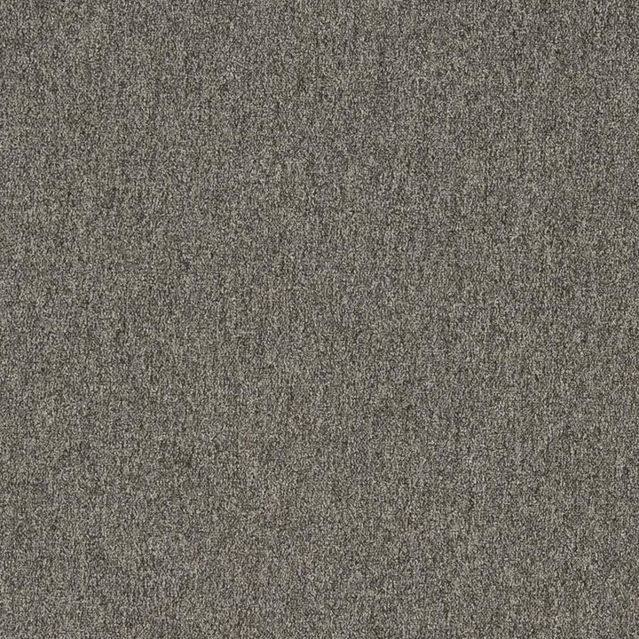 3200 Graphite by Charlotte Designer Fabric Ring Book Page #6 100% Woven Polyester Asia Exceeds 240,000 Wyzenbeek Rubs (Heavy Duty) </p><p>Repeat: 54 Inches - Swanky Fabrics -