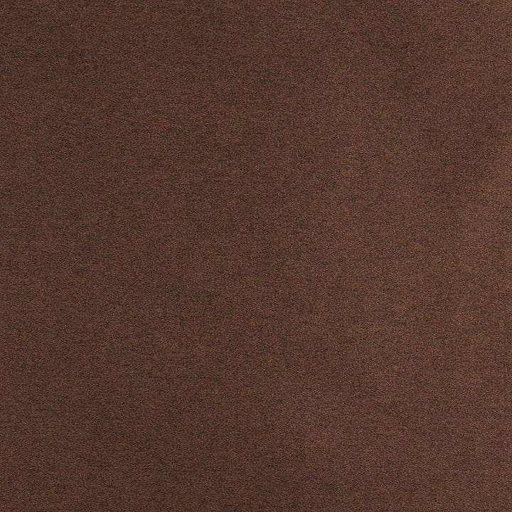 3202 Pecan by Charlotte Designer Fabric Ring Book Page #6 100% Woven Polyester Asia Exceeds 100,000 Wyzenbeek Rubs (Heavy Duty) No Repeat 54 Inches - Swanky Fabrics -