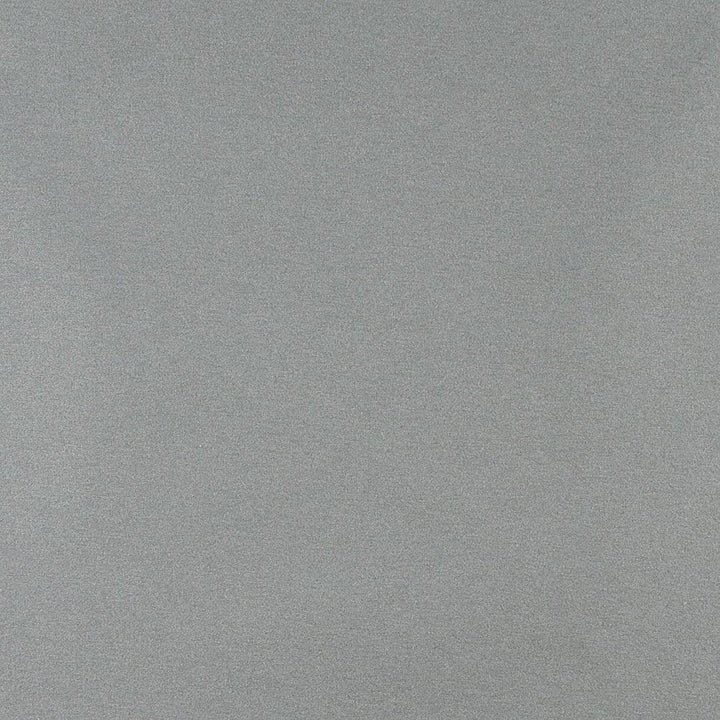 3203 Mist by Charlotte Designer Fabric Ring Book Page #6 100% Woven Polyester Asia Exceeds 100,000 Wyzenbeek Rubs (Heavy Duty) No Repeat 54 Inches - Swanky Fabrics -