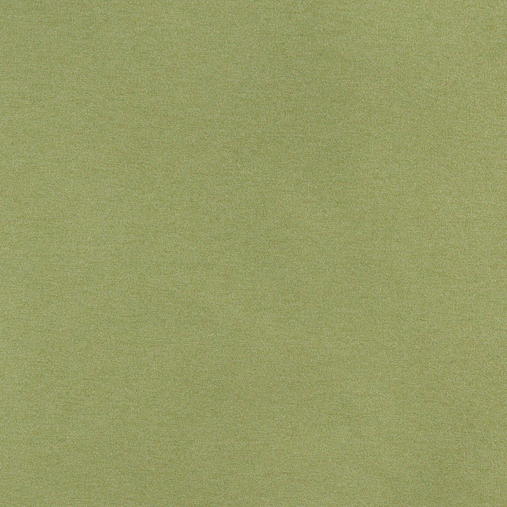 3204 Spring by Charlotte Designer Fabric Ring Book Page #6 100% Woven Polyester Asia Exceeds 240,000 Wyzenbeek Rubs (Heavy Duty) </p><p>Repeat: 54 Inches - Swanky Fabrics -