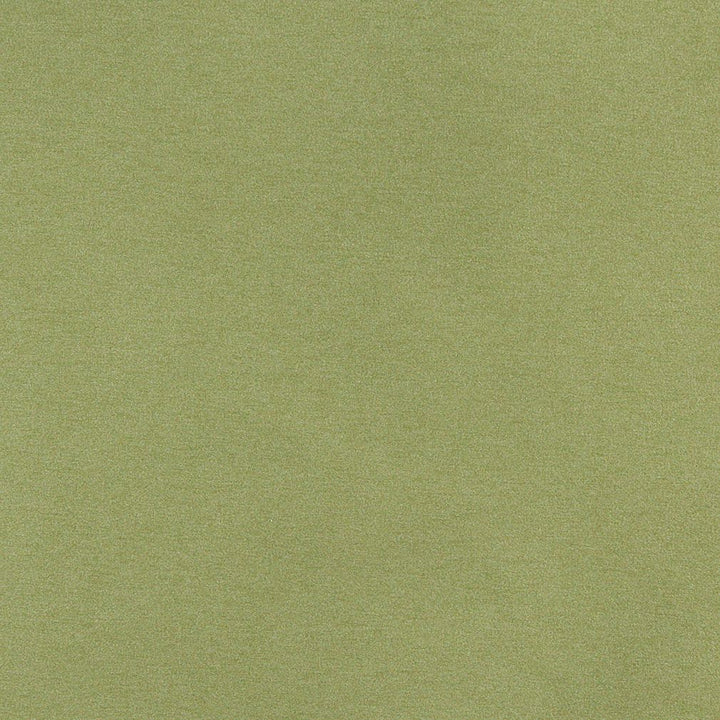 3204 Spring by Charlotte Designer Fabric Ring Book Page #6 100% Woven Polyester Asia Exceeds 240,000 Wyzenbeek Rubs (Heavy Duty) </p><p>Repeat: 54 Inches - Swanky Fabrics -