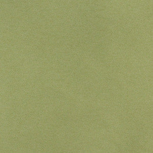 Charlotte Fabric 3204 Spring