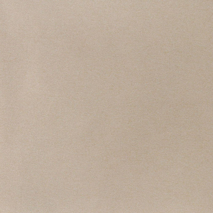 3207 Sand by Charlotte Designer Fabric Ring Book Page #6 100% Woven Polyester Asia Exceeds 100,000 Wyzenbeek Rubs (Heavy Duty) No Repeat 54 Inches - Swanky Fabrics -