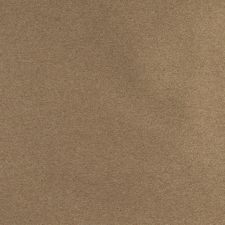 3209 Moss by Charlotte Designer Fabric Ring Book Page #6 100% Woven Polyester Asia Exceeds 100,000 Wyzenbeek Rubs (Heavy Duty) No Repeat 54 Inches - Swanky Fabrics -