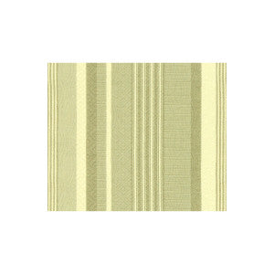 Kravet Fabric Just Curious Mineral