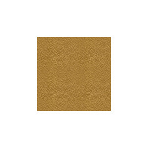 Kravet Fabric Izzie Gold Rush
