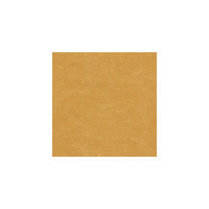 Kravet Fabric Shooting Star Caramel