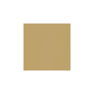 Kravet Fabric Sarasota Toast