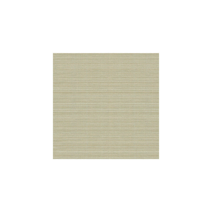 Campania Dove by Kravet Basics Designer Fabric COTTON - 64%;POLYESTER - 36% Taiwan LIGHT Horizontal: and Vertical: 54 - Swanky Fabrics -