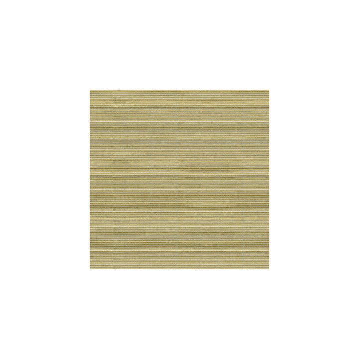 Campania Kiwi by Kravet Basics Fabric Kravet Basics Fabric Campania KiwiFabric COTTON - 64%;POLYESTER - 36% Taiwan </p><p>Repeat: H: , V: 54 - Fabric Carolina -