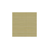 Kravet Fabric Campania Kiwi