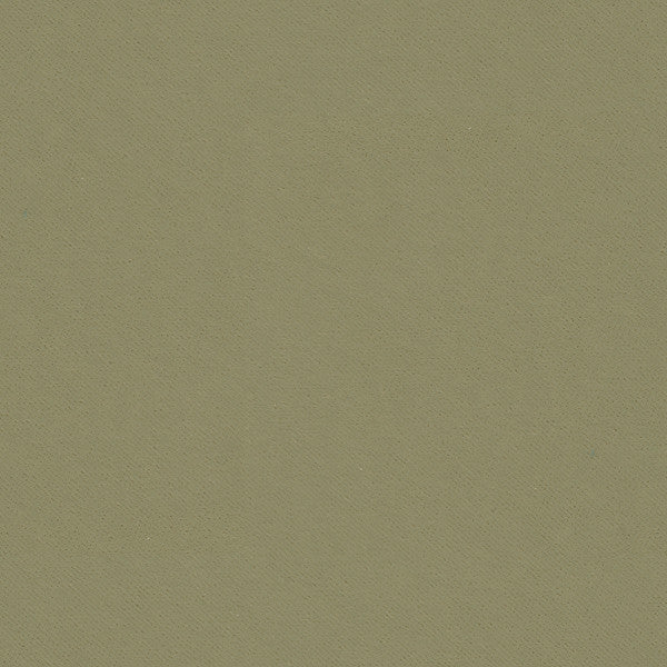 32565.11 by Kravet Smart Designer Fabric Gis Polyester 83%, Cotton 17% Korea, Republic of Heavy Horizontal: see sample and Vertical: see sample 55 inches - Swanky Fabrics -
