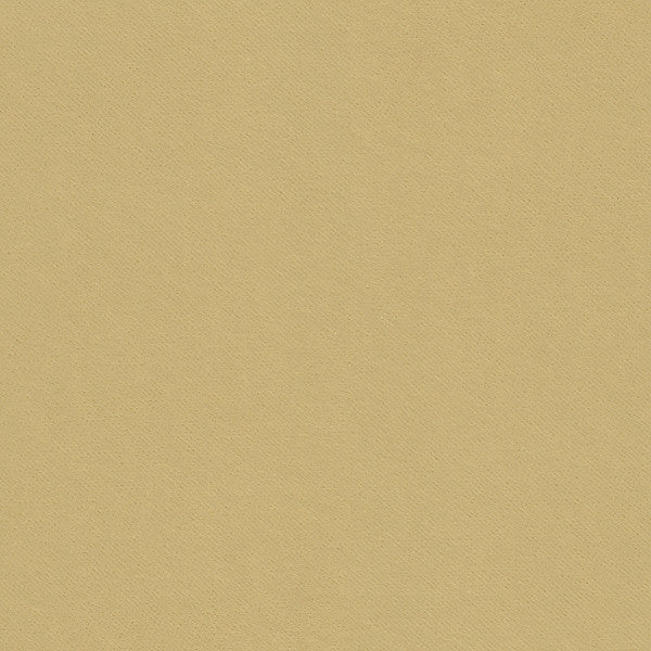32565.16 by Kravet Smart Designer Fabric in our sample Polyester 83%, Cotton 17% Korea, Republic of Heavy Horizontal: See Sample and Vertical: See Sample 55 inches - Swanky Fabrics -