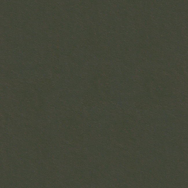 32565.2121 by Kravet Smart Designer Fabric in our sample Polyester 83%, Cotton 17% Korea, Republic of Heavy Horizontal: See Sample and Vertical: See Sample 55 inches - Swanky Fabrics -