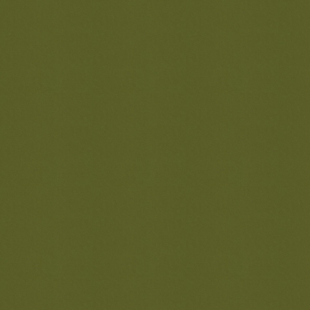 Kravet Contract Fabric Remix - Cactus
